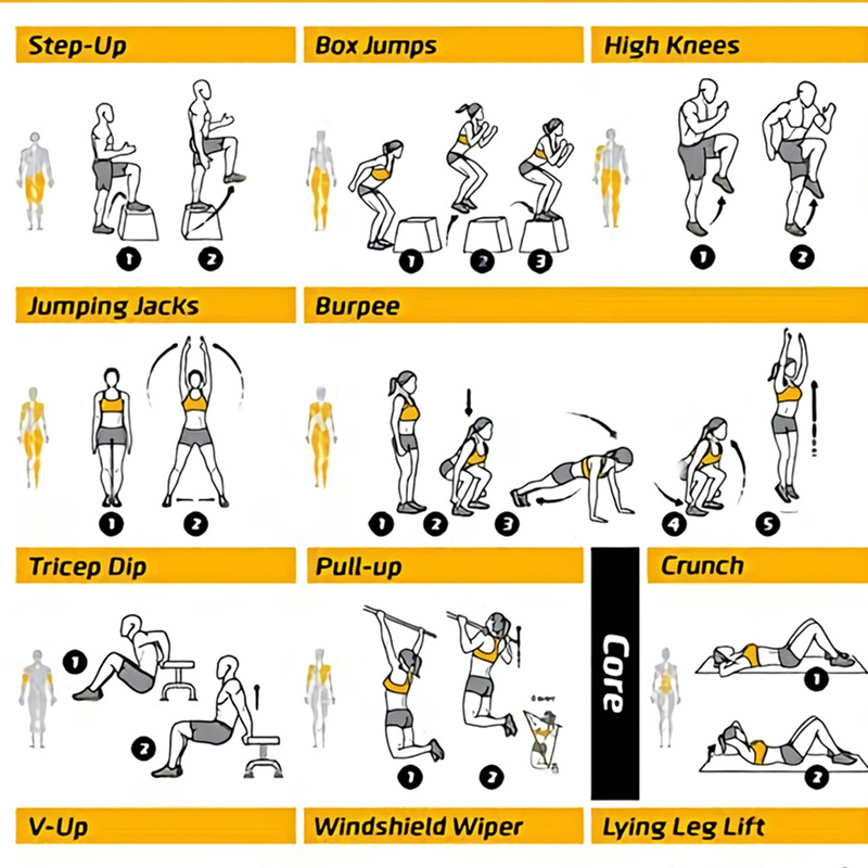 Workout Exercise Chart Posters - đánh giá và giá Sports Equipment Poster
