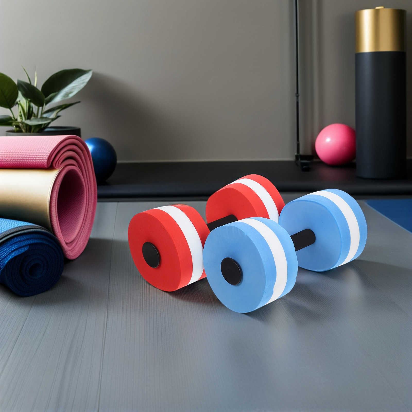 2Pcs Aquatic Dumbbells Eva Flo - đánh giá và giá Dumbbell Set