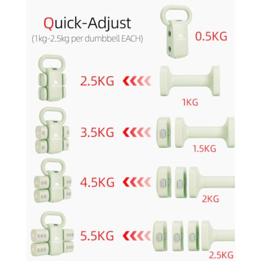 Home gym dumbbell set: 4-in-1  - đánh giá và giá Dumbbell Set