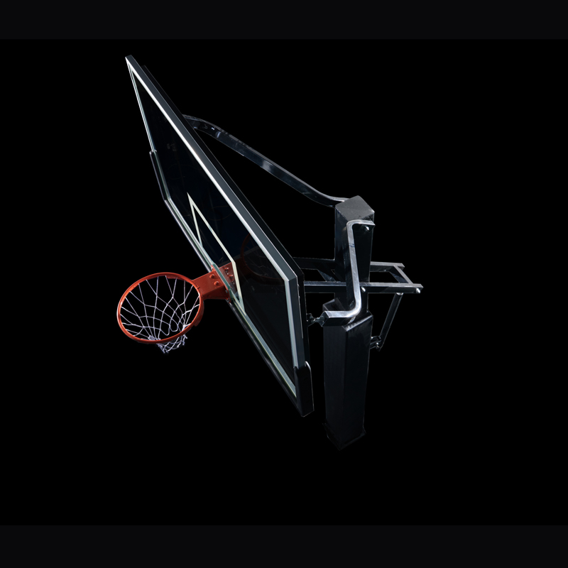 Professional In-ground  Basket - đánh giá và giá Basketball Hoop